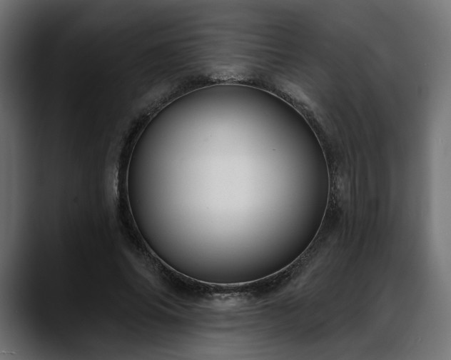 X0000088570686200705251118