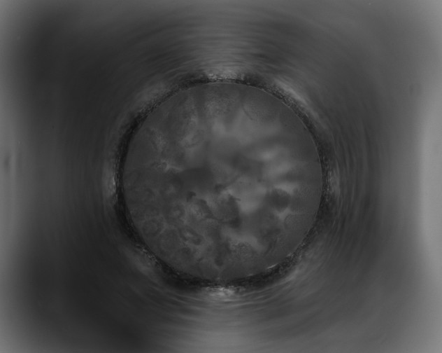 X0000088570687200705251118