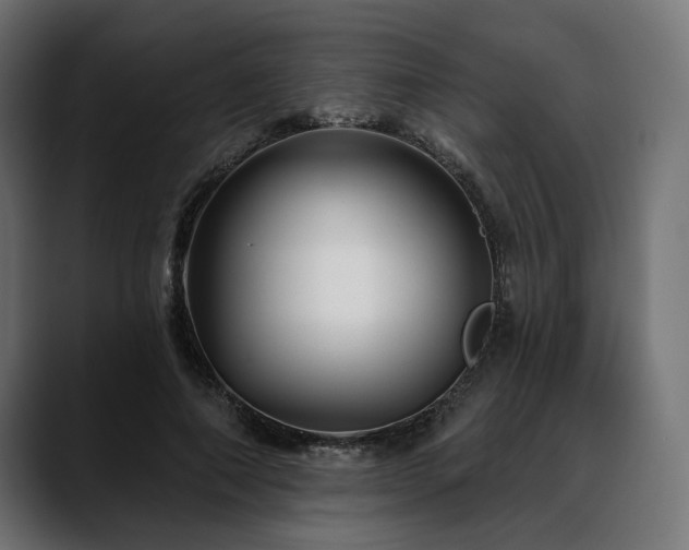 X0000088570690200705251118