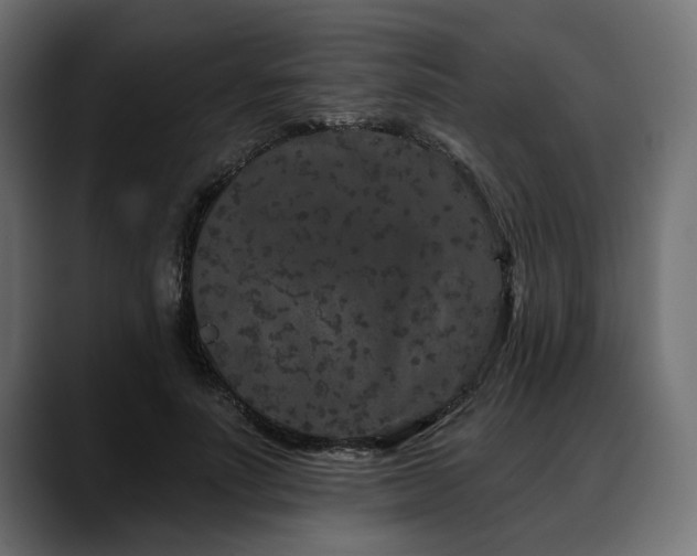 X0000088570691200705251118