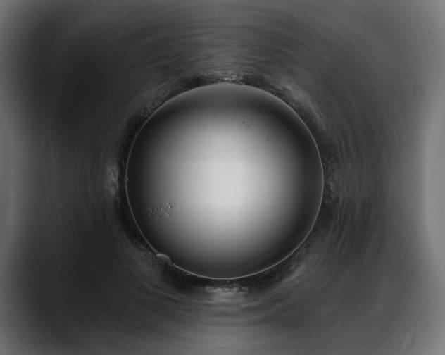 X0000088570693200705251118