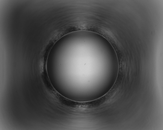 X0000088570694200705251118