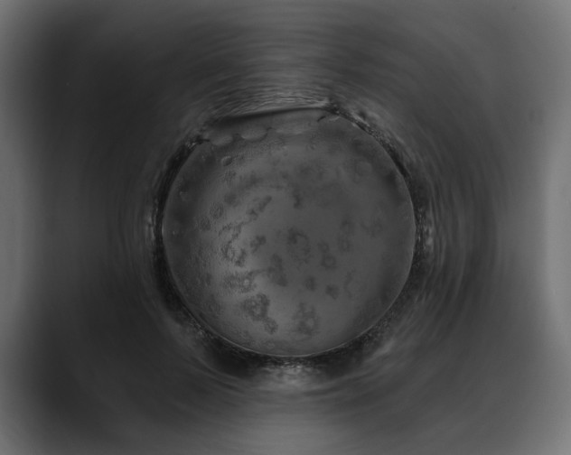 X0000088570695200705251118