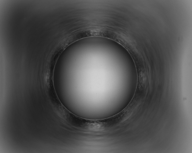 X0000088570698200705251118