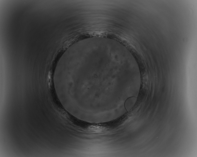 X0000088570699200705251118
