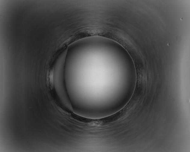 X0000088570700200705251118