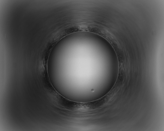 X0000088570702200705251118