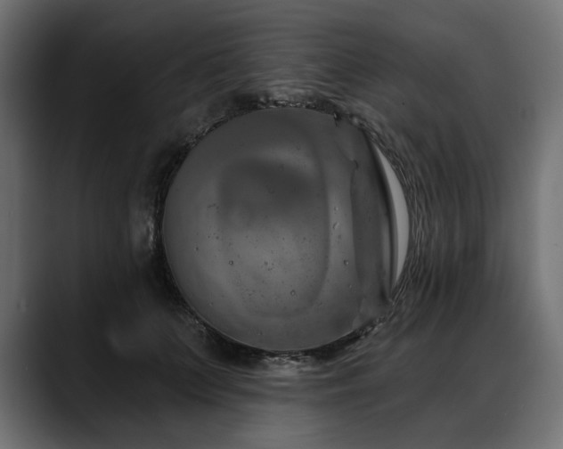 X0000088570703200705251118