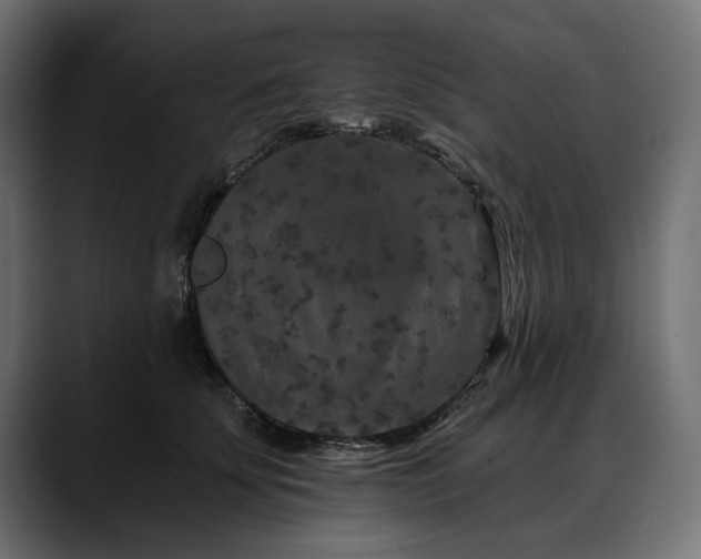 X0000088570707200705251118