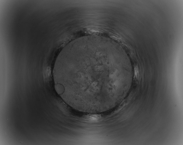 X0000088570711200705251118