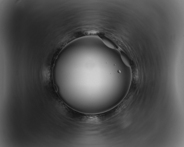 X0000088570715200705251118