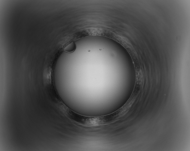 X0000088570717200705251118