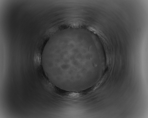X0000088570718200705251118
