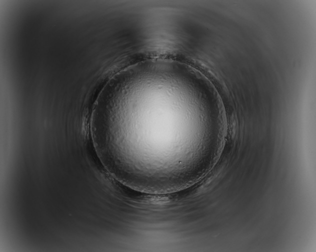X0000088570719200705251118
