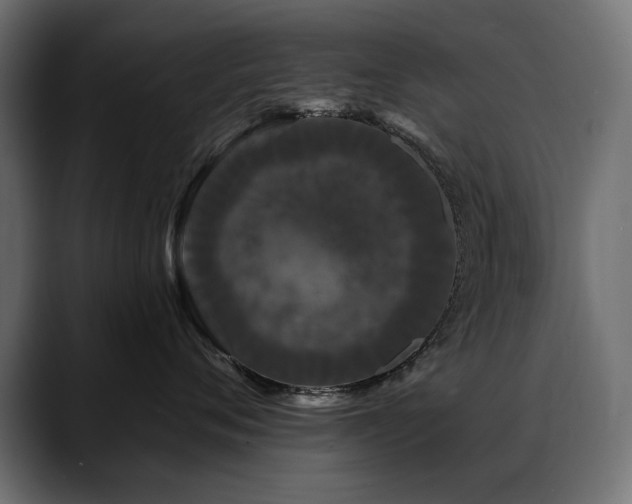X0000088570720200705251117