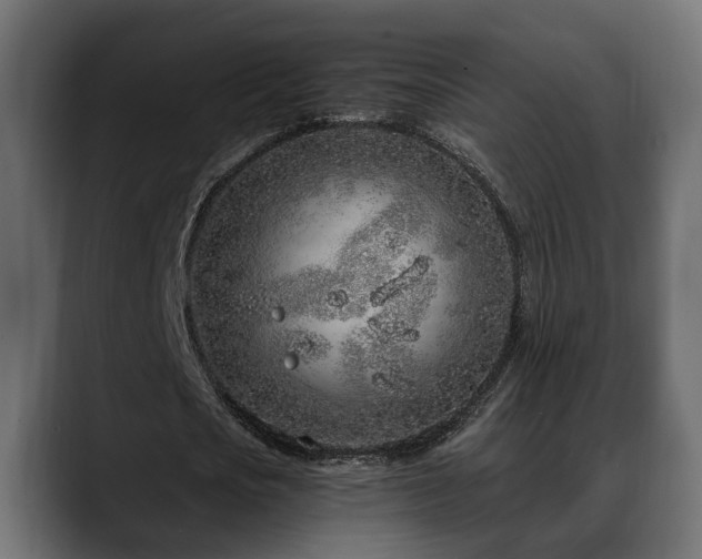 X0000088570721200705251117