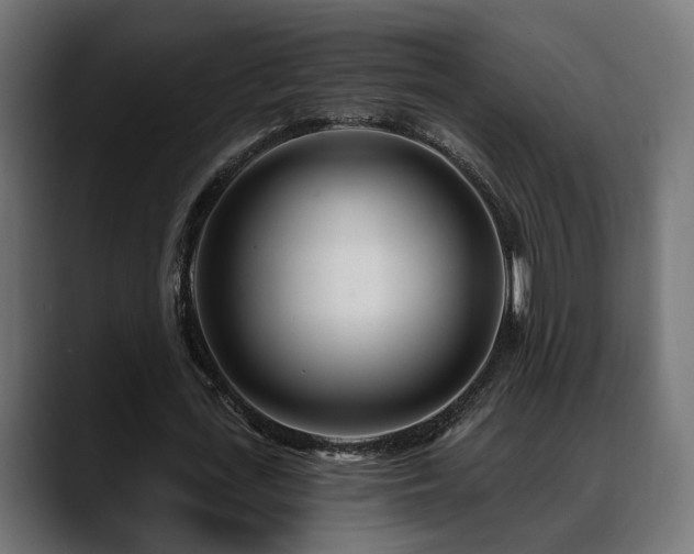 X0000088570723200705251117