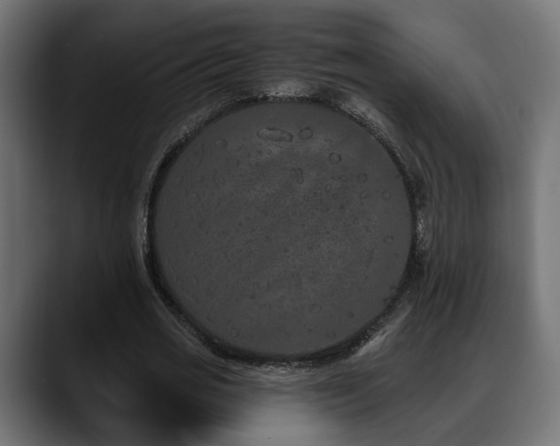 X0000088570725200705251117