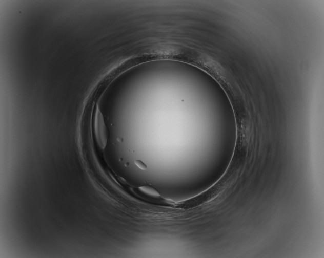 X0000088570726200705251117