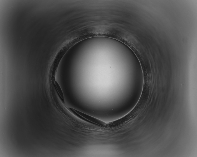 X0000088570727200705251117