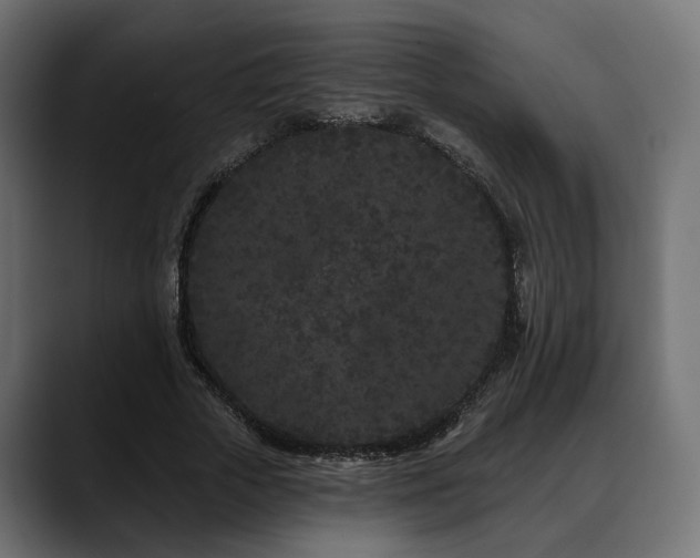 X0000088570729200705251117