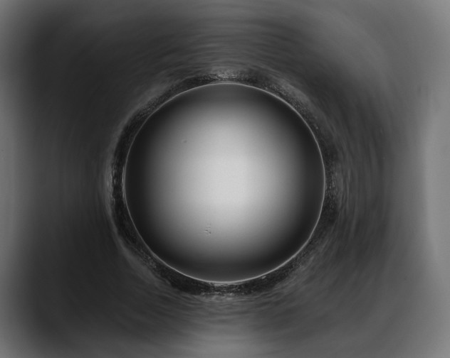 X0000088570730200705251117
