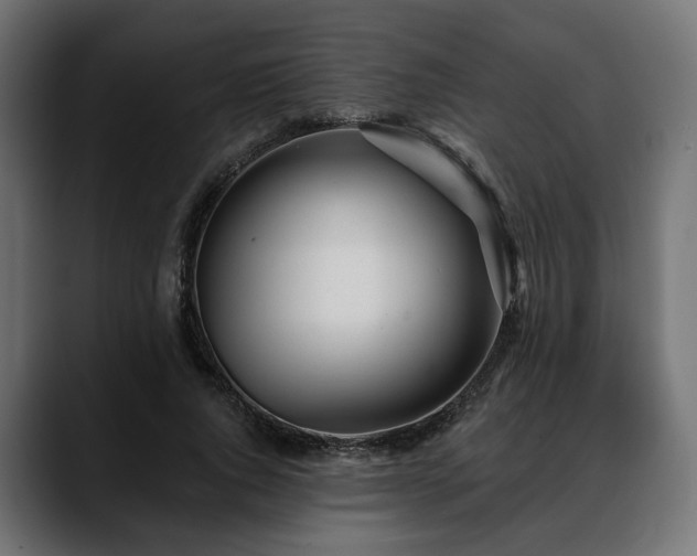 X0000088570736200705251117