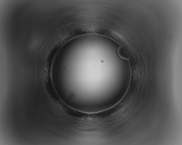 X0000088570739200705251117