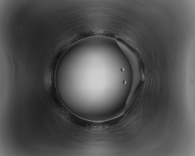 X0000088570740200705251117