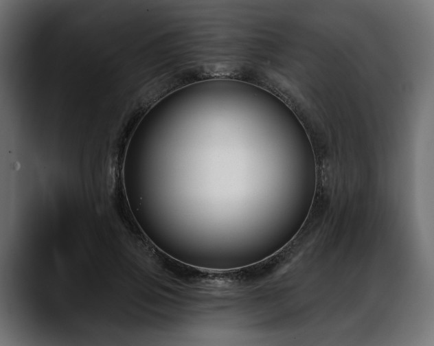 X0000088570741200705251117