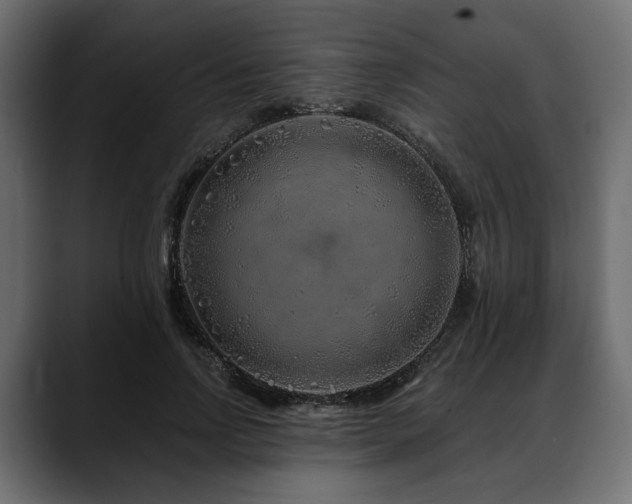 X0000088570742200705251117