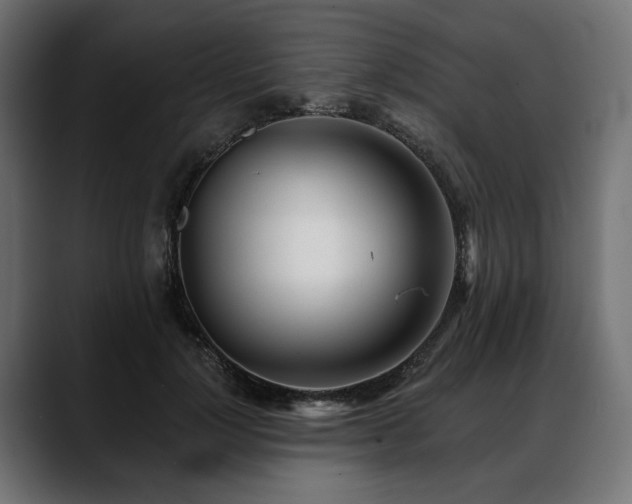 X0000088570748200705251117