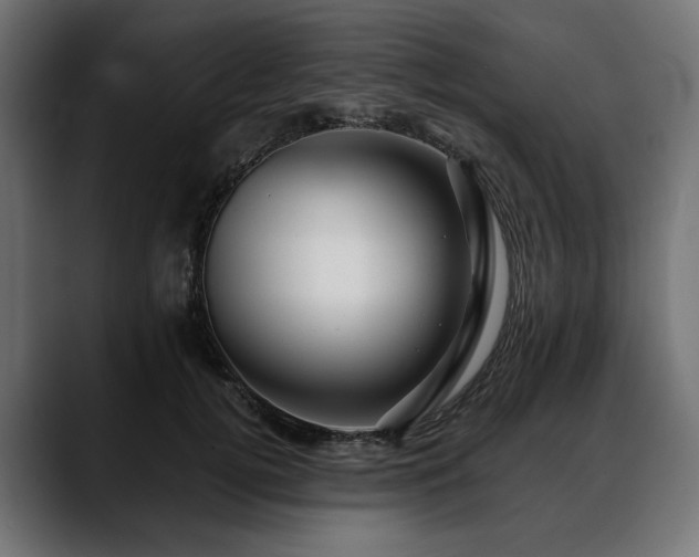 X0000088570752200705251117