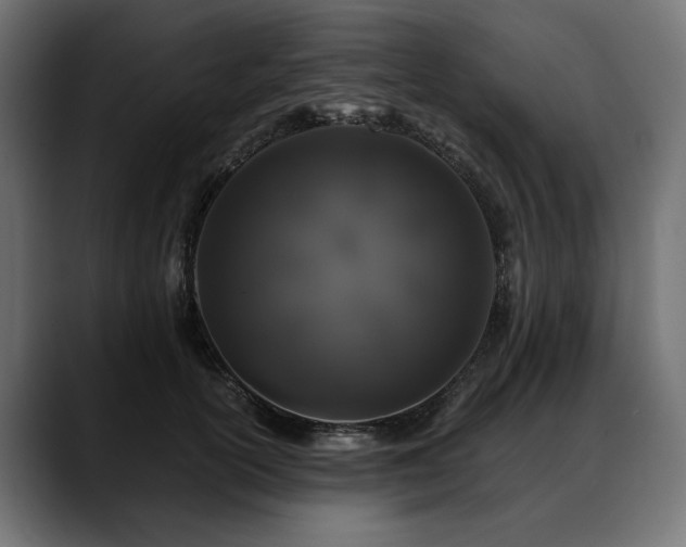 X0000088570754200705251117