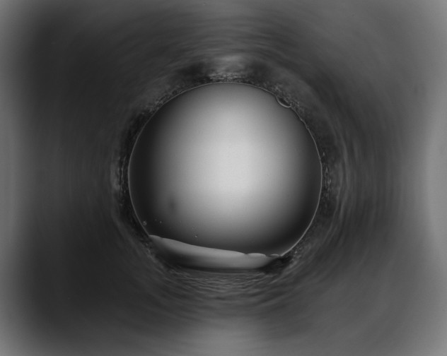 X0000088570755200705251117