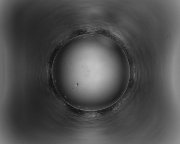 X0000088570757200705251117