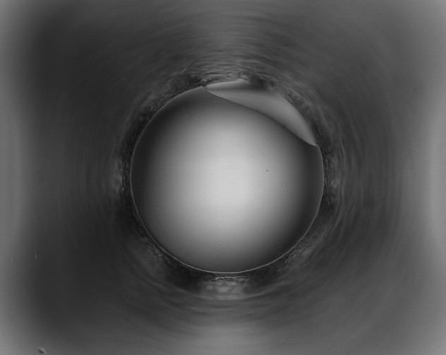 X0000088570758200705251117