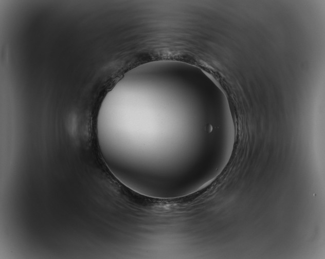 X0000088570760200705251117