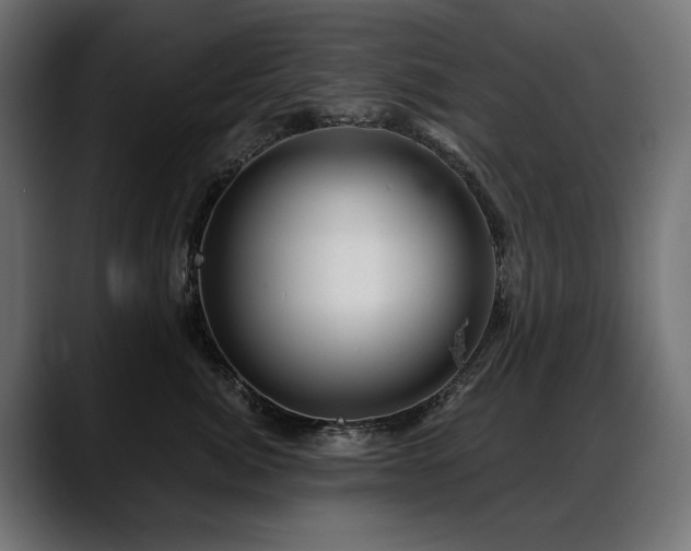 X0000088570764200705251117