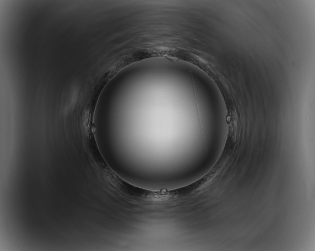 X0000088570767200705251117