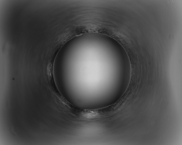 X0000088570768200705251117