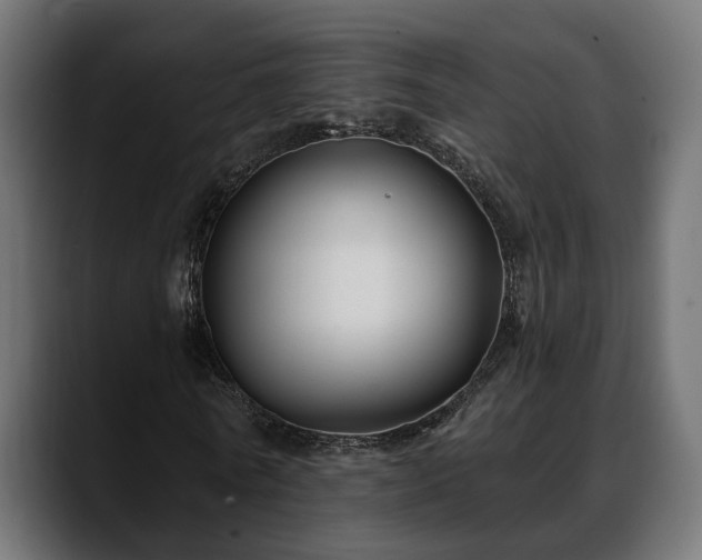X0000088570770200705251117