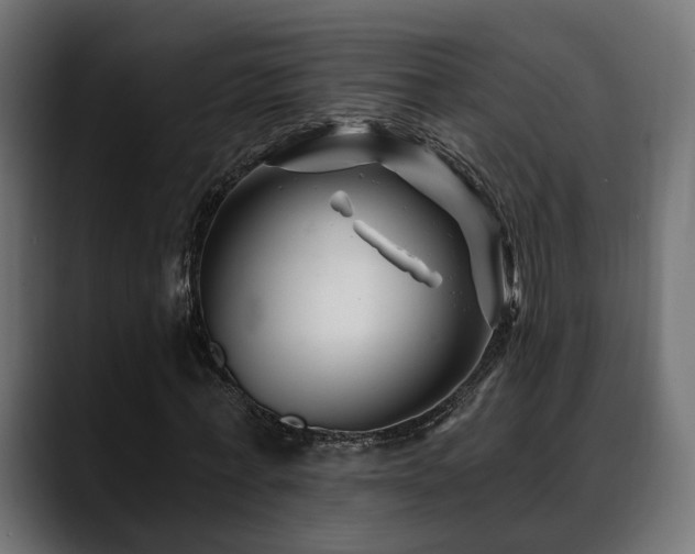 X0000088570771200705251117