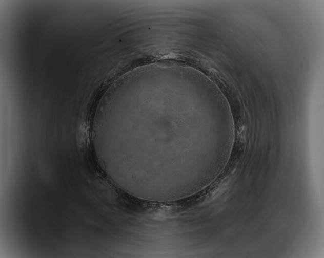 X0000088570772200705251117