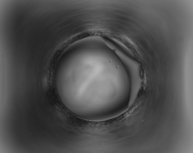 X0000088570775200705251117