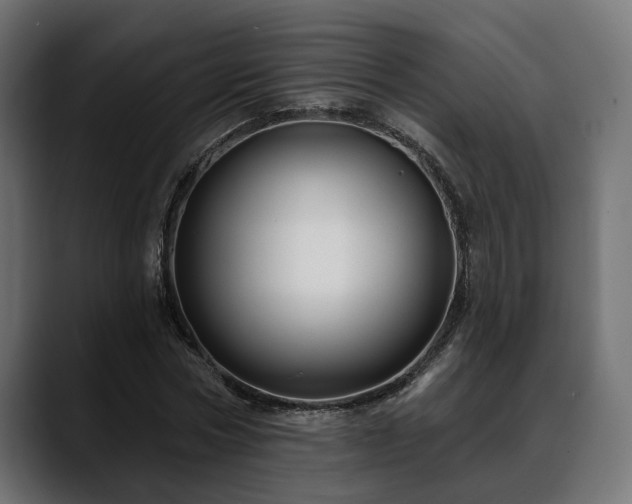 X0000088570778200705251117
