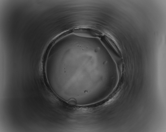 X0000088570779200705251117