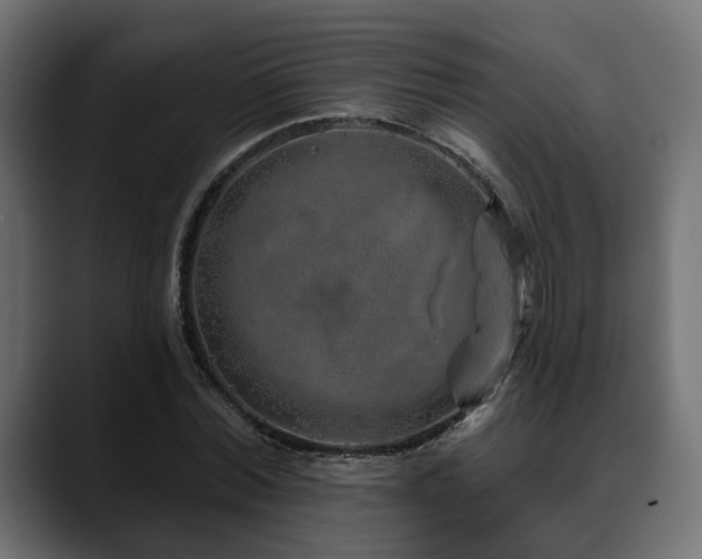 X0000088570780200705251117