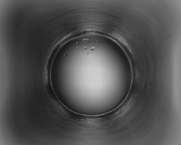 X0000088570782200705251117