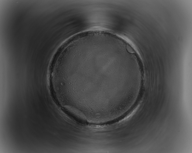 X0000088570783200705251117